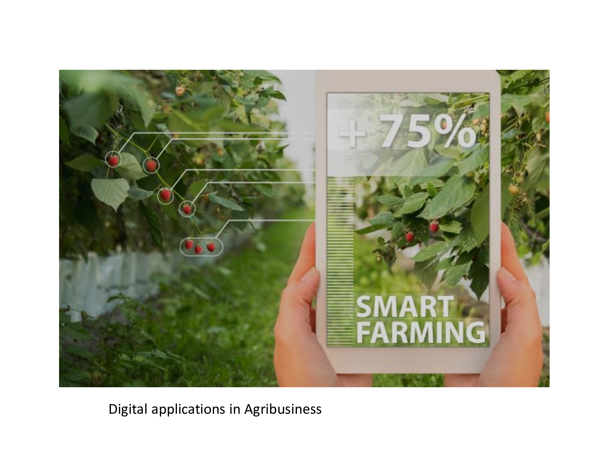 Digital applications in Agri-Business